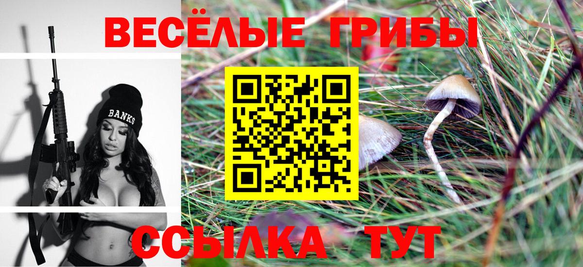 Псилоцибиновые грибы прущие грибы Свободный